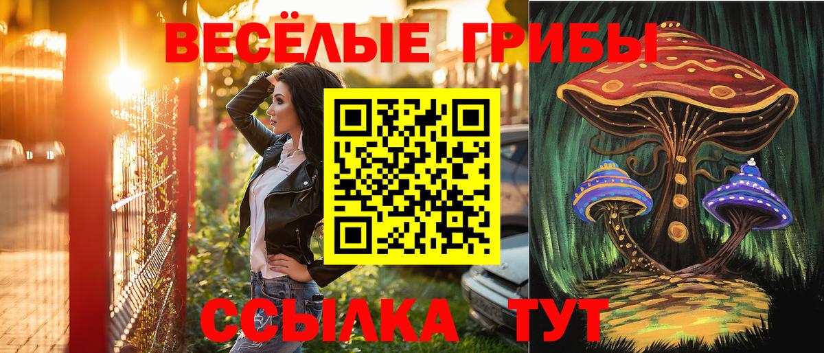 Ейск  купить наркоту  Псилоцибиновые грибы прущие грибы  Вход с VPN  Галлюциногенные грибы Psilocybe 