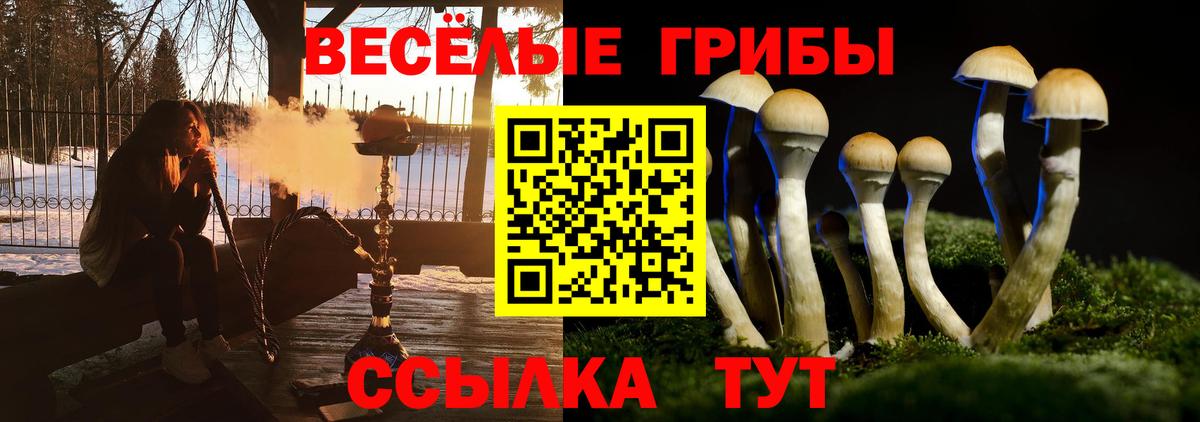 Псилоцибиновые грибы Psilocybe Ейск